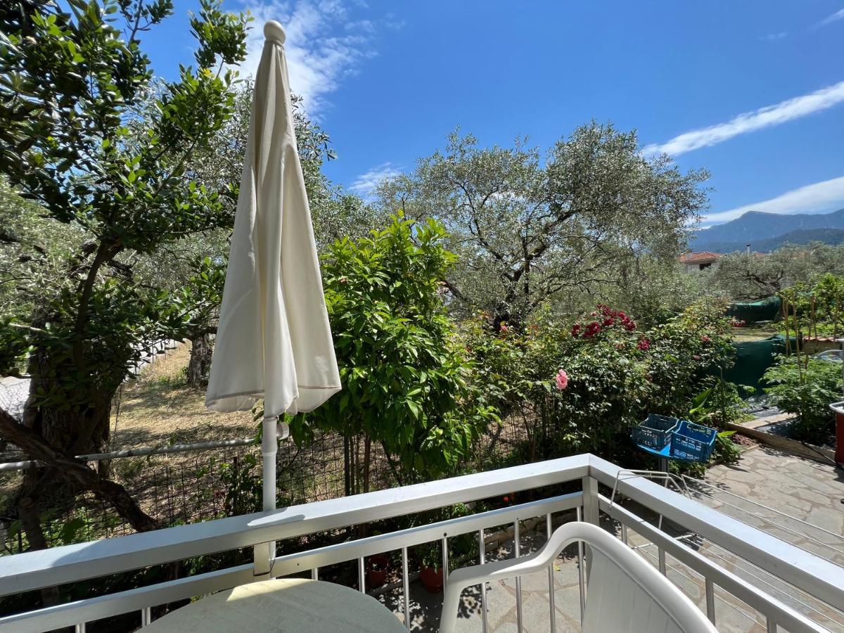 Villa Eleni - Thassos Town Екстер'єр фото